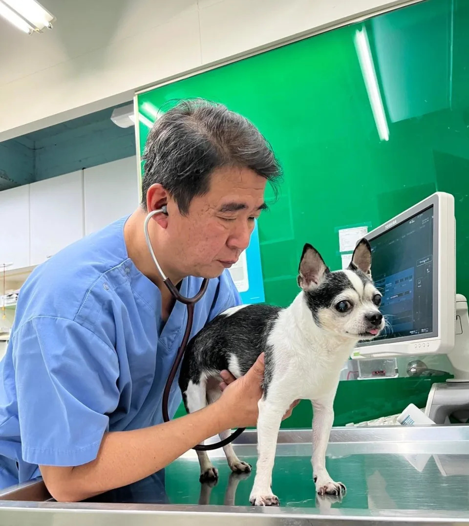 楊孝柏獸醫師表示，定期帶寵物做健檢，是確保他們健康的重要關鍵。（法國皇家寵物食品公司提供）