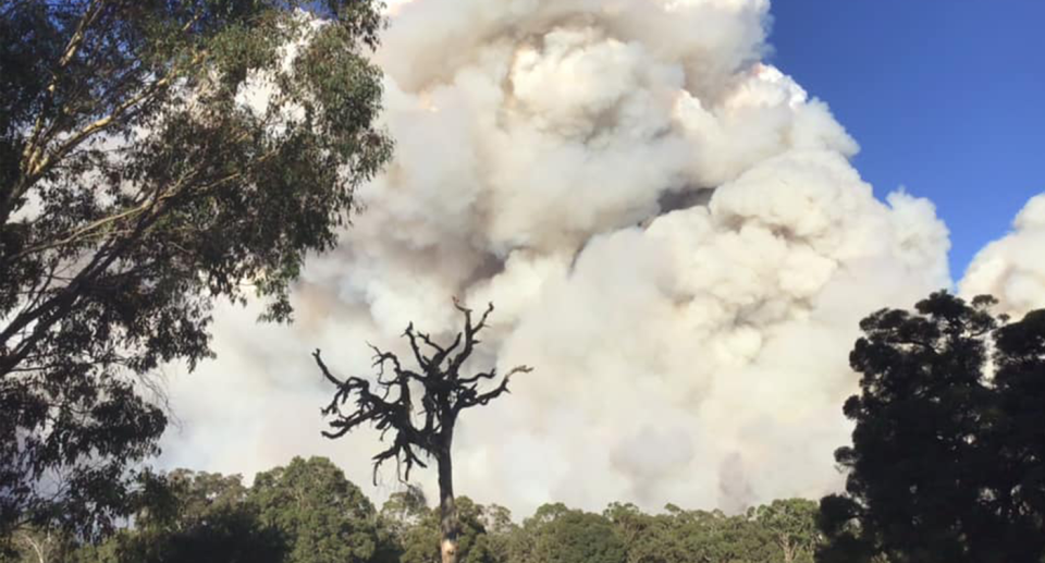 The prescribed burn at Perup in Western Australia is now complete. Source: Darryn Ward 