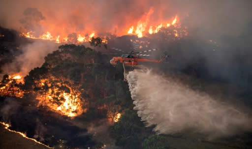 The blazes in Australia have destroyed more than 1,000 homes and scorched well over 5.5 million hectares