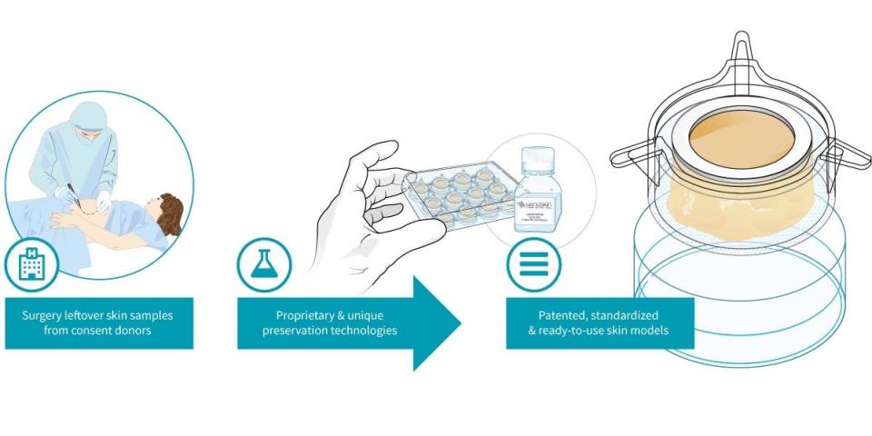 Genoskin from cosmetic surgery to skin sample