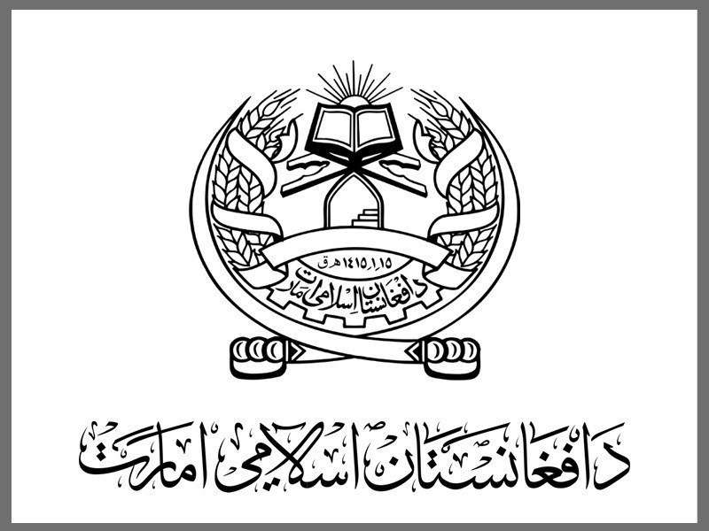 阿富汗伊斯蘭酋長國的旗幟。（翻攝神學士推特）