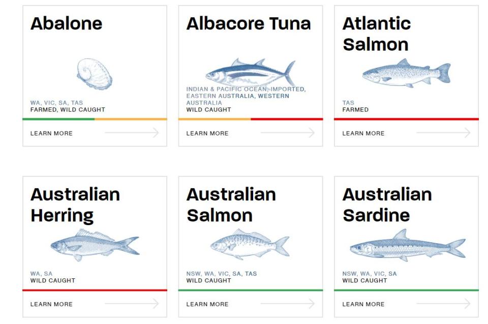 Debemos empezar a buscar soluciones sostenibles para la pesca