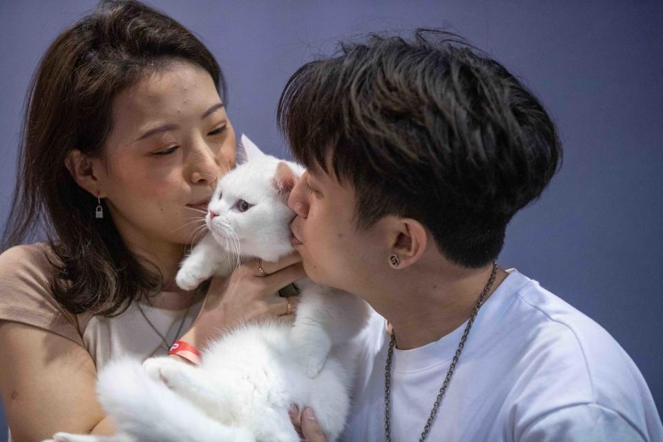 A woman and a man, both smiling, hold and kiss a white cat