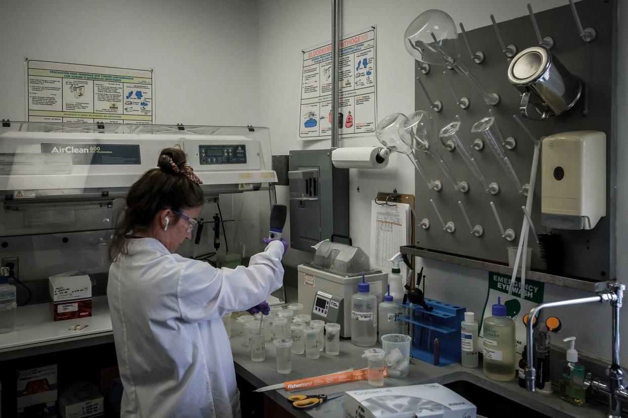 Testing of water quality is performed in the microbiology lab at the West Palm Beach Water Treatment Plant on July 6, 2021.