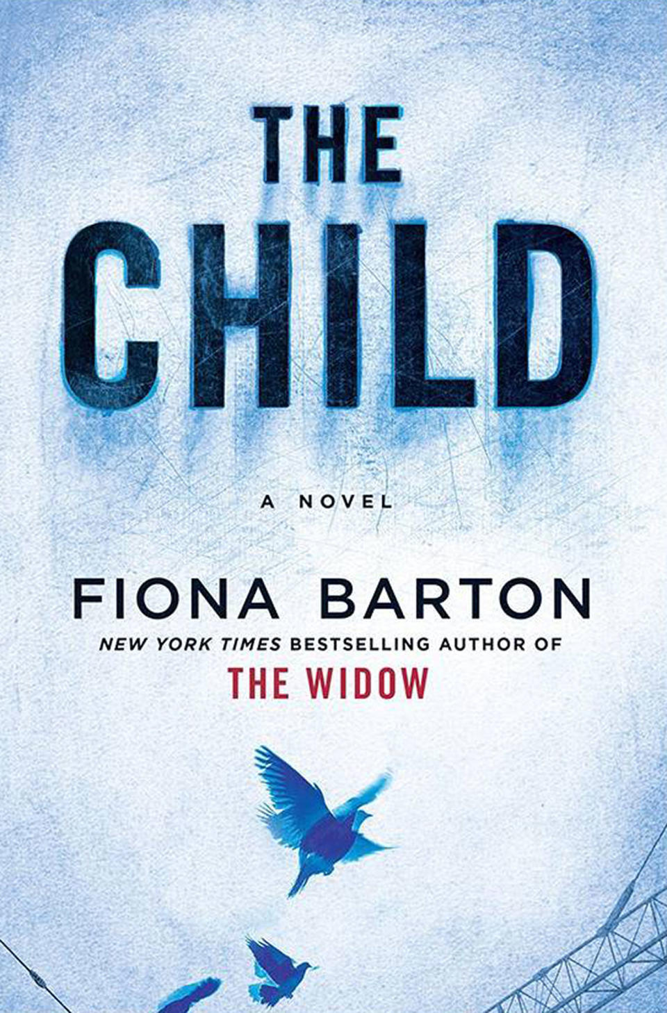The Child 
 by Fiona Barton