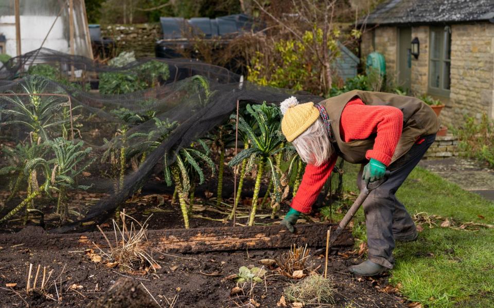 Val Bourne checking for slugs in her garden