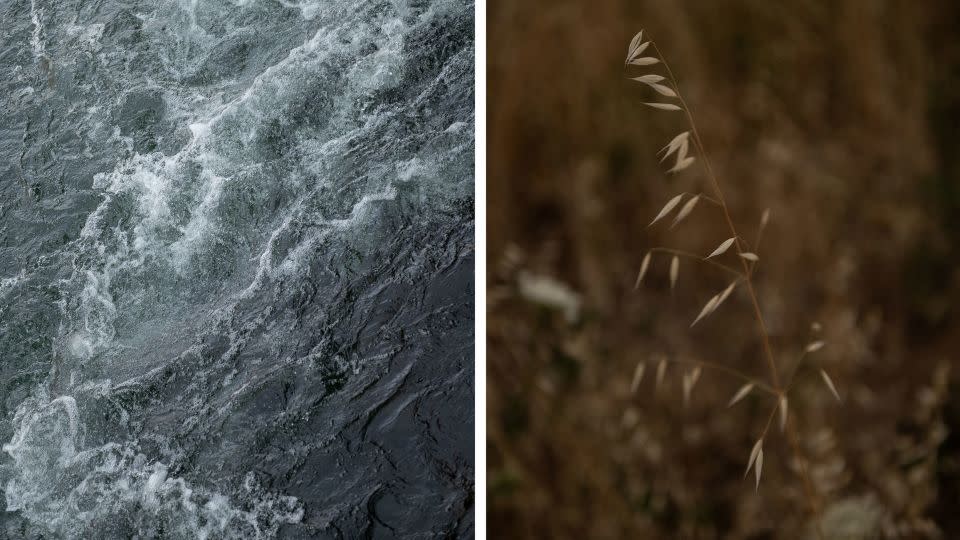 Left: Water flows in the North Umpqua River. Right: Native vegetation is seen along the river. - Will Lanzoni/CNN