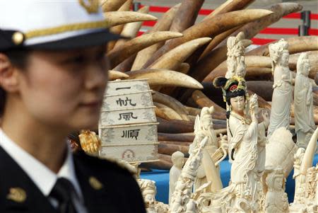 A police officer stands guard next to ivory and ivory sculptures before they are destroyed in Dongguan, Guangdong province January 6, 2014. REUTERS/Alex Lee