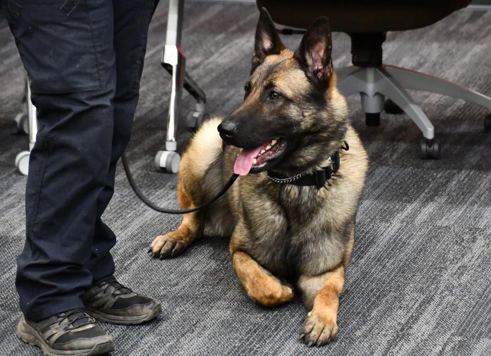 On Tuesday, March 12, Officer Ares was sworn in to serve as the Lebanon City Police Department's newest K-9 officer.