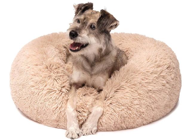 Turno Dog Cat Bed Cuscino/Bed Calmante for i Cani/Gatto e Small Medium del Cane Cuscino/Resistente Facile da Pulire e Non tossico Cat Bed PETBED Cuccia per Cani Gatti con Cuscino Peluche