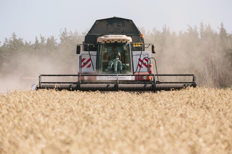 Harvesting of grains in Zaporizhzhia Region, Ukraine.