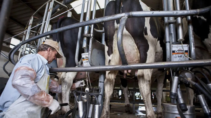 Los cierres de tambos se volvieron una constante en el último año.