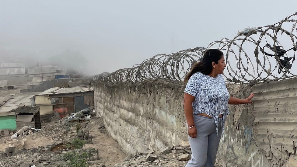 Lidia Paredes, junto al muro alambrado, mira hacia el otro lado.