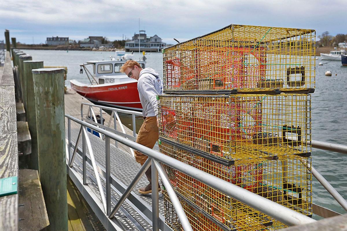 NSW DPI Fisheries - Nine lobster traps have been seized from a man at  Catherine Hill Bay who was also issued with two penalty notices totaling  $1,000 for possessing four eastern rock