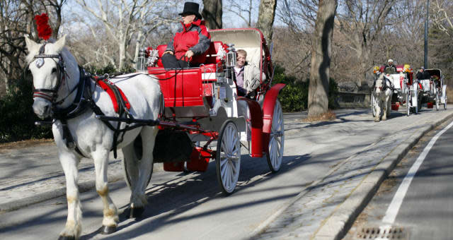 NY Carriage Horses (Horse-drawn carriage roll through New York's Central Park,  Wednesday, Jan. 27, 2010. New York Gov. David Pa