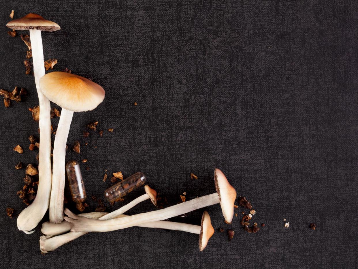 Magic mushrooms may have evolved their psychedelic properties as a defence mechanism: Getty Images