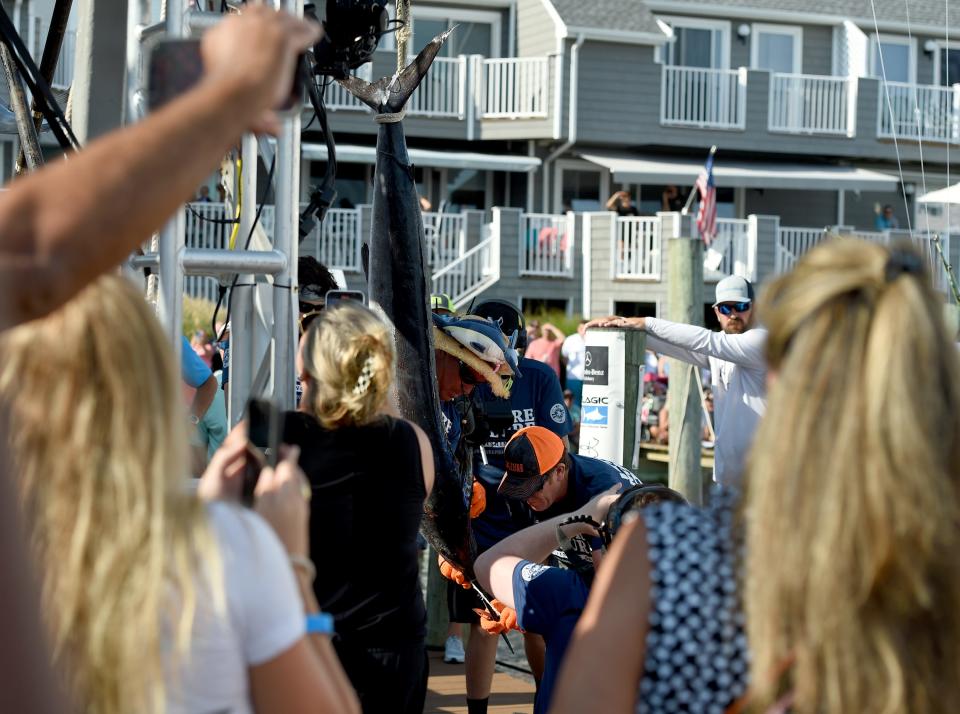 Jeremy Duffie on Billfisher caught a 77.5 pound white marlin at the White Marlin Open Friday, Aug. 12, 2022, in Ocean City, Maryland.