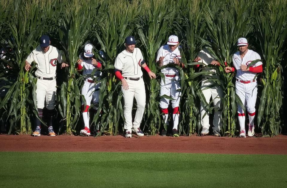 Chicago Cubs and Cincinnati Reds step out of the corn and onto the field prior to the start of a major League Baseball game at the Field of Dreams baseball field in Dyersville.