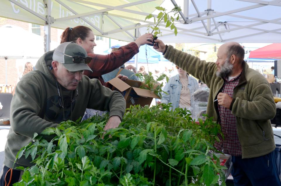 People shop for plant and herb varieties on Friday, May 26, 2023 at the Peaceful Valley Farm booth during the downtown Petoskey farmers market.