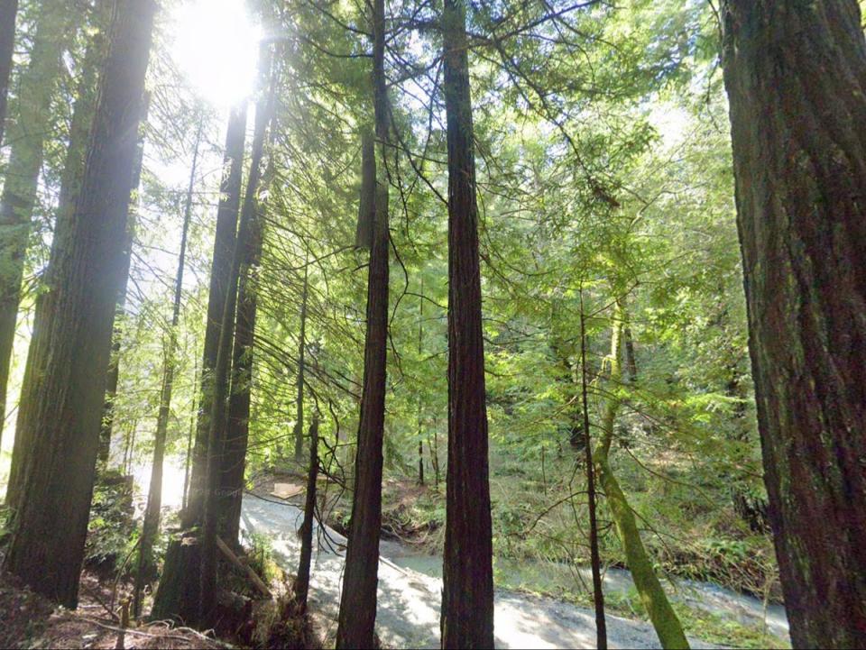 A wooded area near Eureka Canyon Road and Grizzly Flat Road near Watsonville, California, where the body of 25-year-old Lizbeth Arceo Sedano was found on August 4, less than 24 hours after she was reported missing by police (Google Maps)