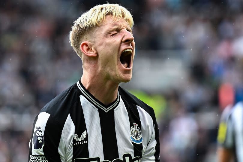 Anthony Gordon celebrates scoring for Newcastle United against Liverpool.