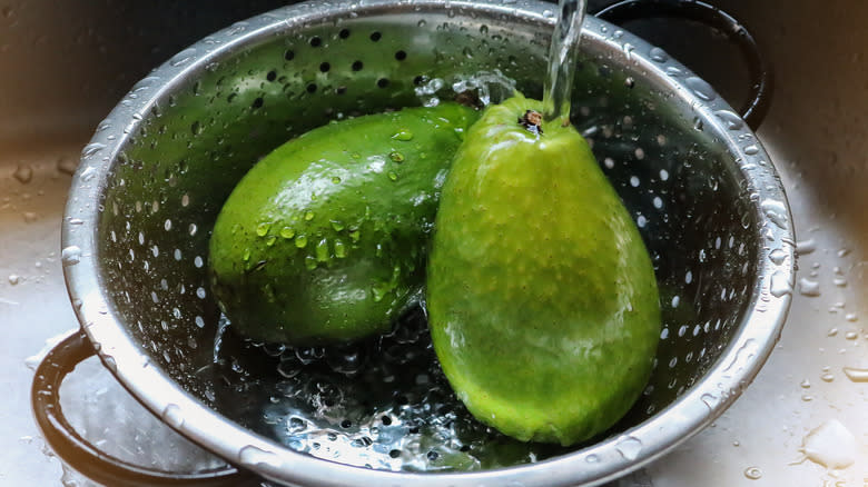 Avocados being washed in colander