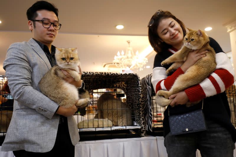Duy Anh and Quyn Mai hold their cats during the Vietnam's first cat show in Hanoi