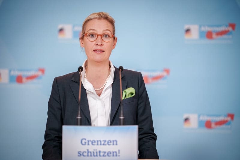 Alice Weidel, leader of the AfD parliamentary group, gives a press statement at the start of her party's parliamentary group meeting. The AfD's Weidel told the Financial Times newspaper that she would be in favour of a referendum on Germany's EU membership if the far-right party can't force through major changes to EU rules. Kay Nietfeld/dpa