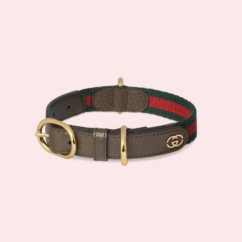 Gucci Small/Medium Pet Collar
