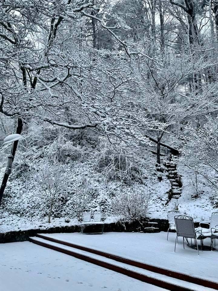 Snow covers various surfaces in North Asheville on Jan. 3, 2022.