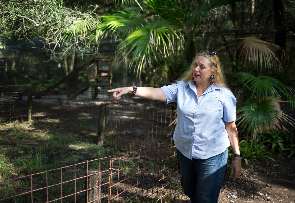 Carole Baskin, founder of Big Cat Rescue, at the property in 2017  (AP)