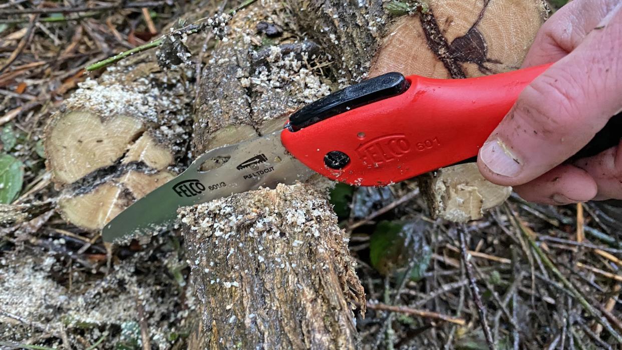  Felco 601 folding saw. 