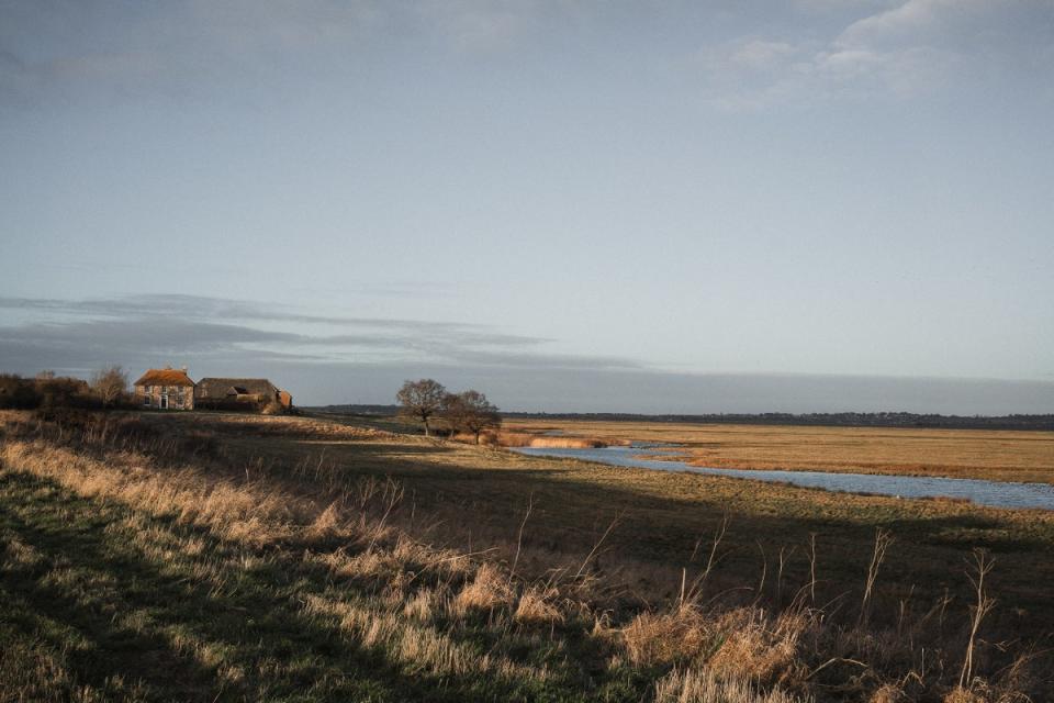 Elmley Nature Reserve  on the Isle of Sheppey (The Travel Project)