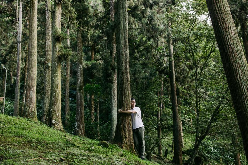 森林療癒師具專業知能，引領人們在森林中放鬆心靈。（圖：台灣森林保健學會提供）