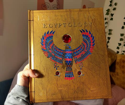 Look, you're an adult. What's stopping you from finally buying yourself the Egyptology book we all wanted at the Scholastic fair?