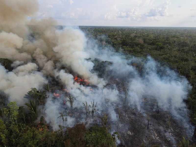 FILE PHOTO: Fires surge in Brazilian Amazon for third straight year in August in Labrea