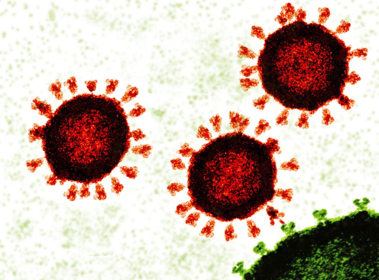 <span class="caption">Some vaccines use mRNA to make copies of the triangular red spike proteins to induce immunity.</span> <span class="attribution"><a class="link " href="https://www.gettyimages.com/detail/photo/covid-19-viruses-attaching-to-cell-illustration-royalty-free-image/1307405789?adppopup=true" rel="nofollow noopener" target="_blank" data-ylk="slk:Juan Gaertner/Science Photo Library via Getty Images;elm:context_link;itc:0;sec:content-canvas">Juan Gaertner/Science Photo Library via Getty Images</a></span>