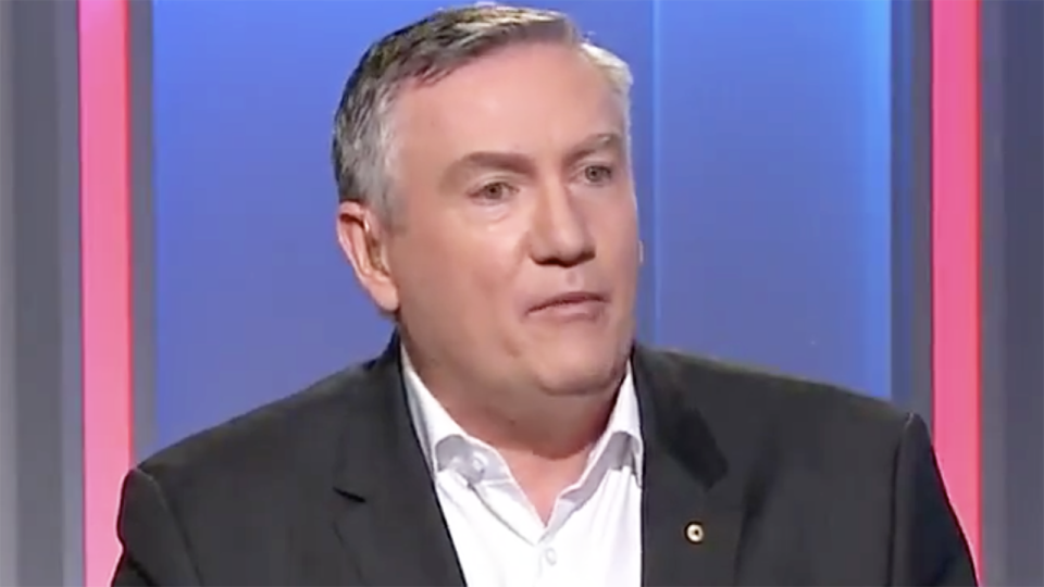 Eddie McGuire is pictured on Chanel 9 program Footy Classified.