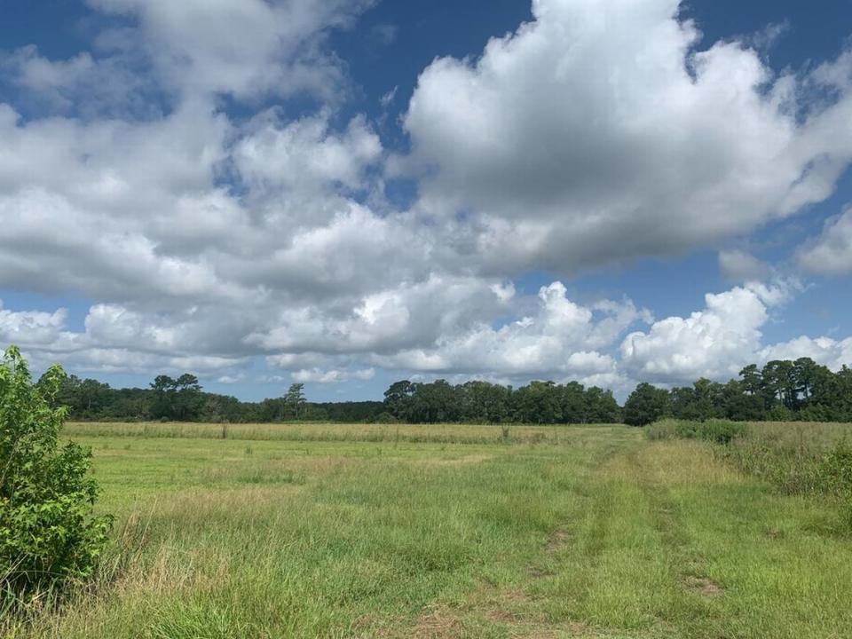 The farmland was in danger of being sold on the open real estate market and converted to housing development, or some other use, according to those who partnered to buy it. Beaufort County Open Lands Trust