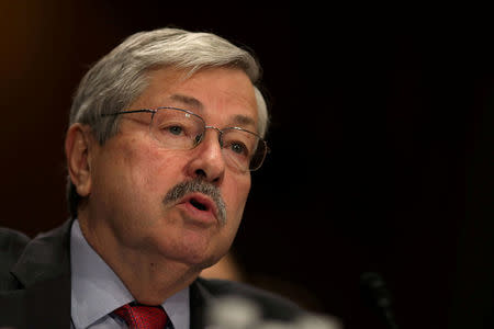 FILE PHOTO - Iowa Governor Terry Branstad testifies before a Senate Foreign Relations Committee confirmation hearing on his nomination to be U.S. ambassador to China at Capitol Hill in Washington D.C., U.S. on May 2, 2017. REUTERS/Carlos Barria/File Photo