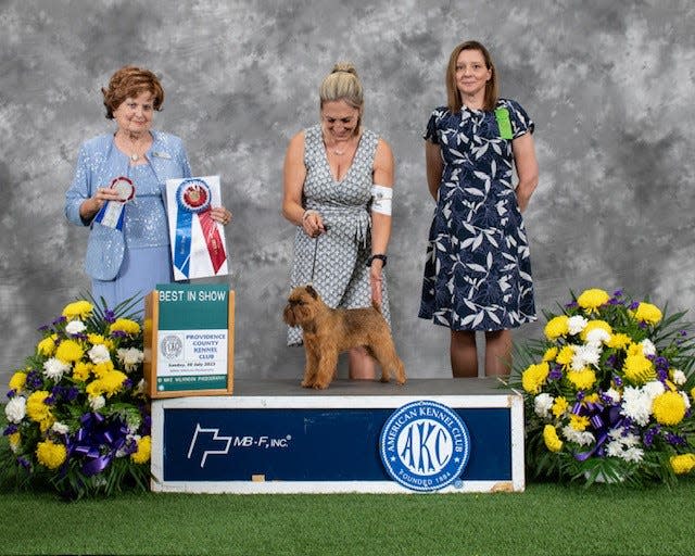 Maureen Rogers' Brussels Griffon Wrassy, show name CH Calicops Sassafras Gonnakikurass, Best in Show win. Wrassy will participate in the upcoming National Dog Show Presented by Purina.