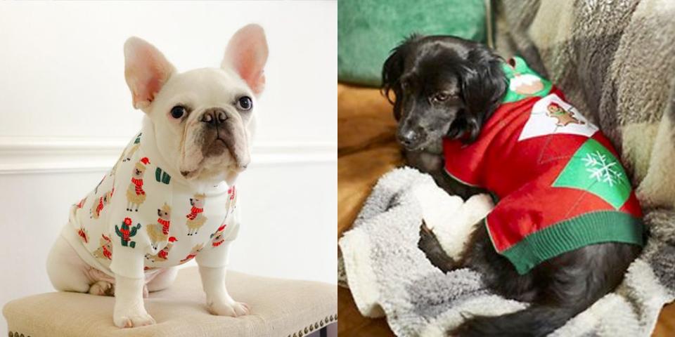 You Can Now Buy Matching Ugly Christmas Sweaters for You and Your Dog