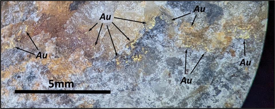 <strong>Figure 2: </strong>Visible gold in an iron-stained quartz vein from sample AHA-45993 (Bohlog Zone 5)