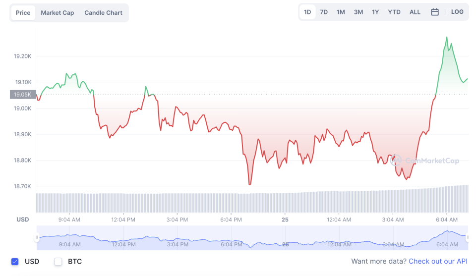 La variación del precio del Bitcoin en el último año. Fuente: coinmarketcap.com.