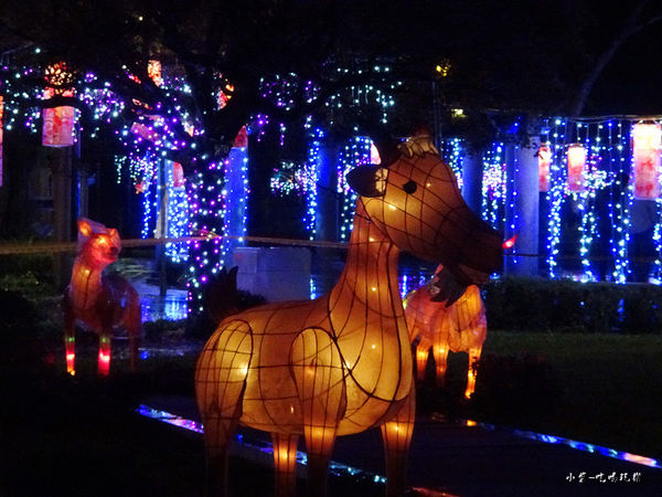 宜蘭賞花燈-員山公園22.jpg