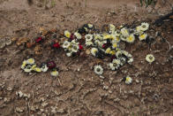 Dried flower petals lie on the grave of Arbaz Mullah at a local cemetery, in Belagavi, India, Oct. 8, 2021. Arbaz Mullah was a Muslim man in love with a Hindu woman. But the romance so angered the woman’s family that — according to police — they hired members of a hard-line Hindu group to murder him. It's a grim illustration of the risks facing interfaith couples as Hindu nationalism surges in India. (AP Photo/Aijaz Rahi)