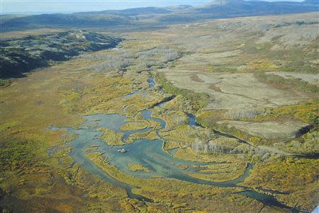 The Upper Tularik Floodplain in the Bristol Bay watershed in Alaska is seen in an undated handout picture provided by the Environmental Protection Agency (EPA). REUTERS/Environmental Protection Agency/Handout