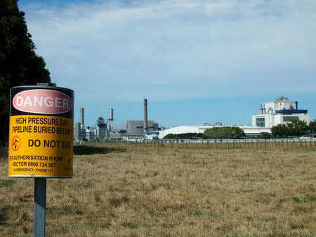 FILE PHOTO: The Fonterra Te Rapa dairy factory is seen outside Hamilton April 30, 2016. REUTERS/Henning Gloystein/File Photo