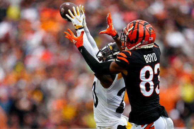 Pittsburgh Steelers cornerback Cameron Sutton (20) celebrates during a NFL  football game against the Cincinnati Bengals, Sunday, Sept. 11, 2022, in  Cincinnati. (AP Photo/Emilee Chinn Stock Photo - Alamy