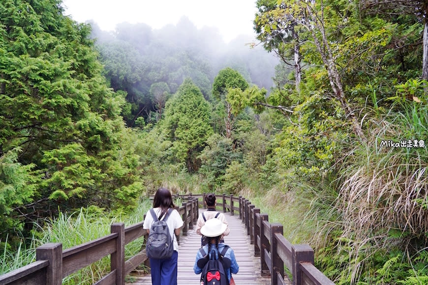 宜蘭｜太平山翠峰湖環山步道